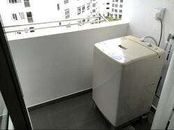 Blk 288C Compassvale Cape (Sengkang), HDB 4 Rooms #359979881